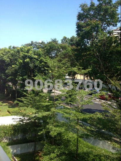 The Ford @ Holland (D10), Condominium #902272